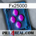 Fx25000 04